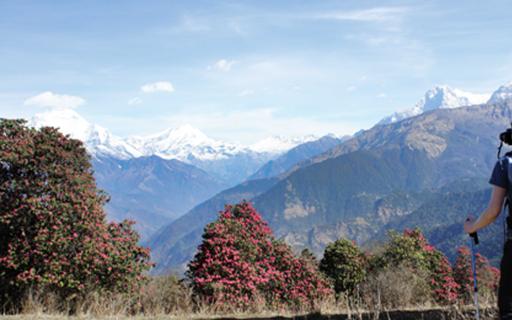 Instrucción para turistas en Nepal