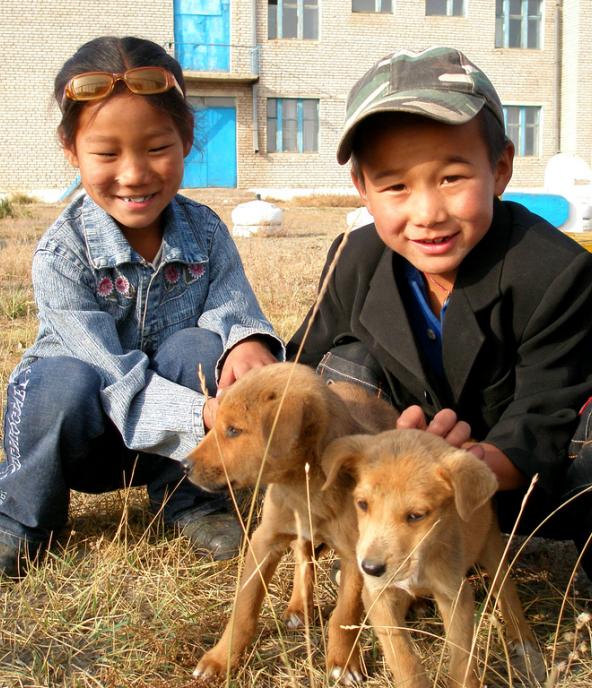 Two mongolian children with their puppies, Zuunmod